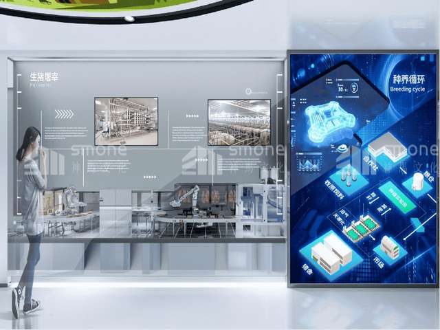 四川单片式高功率波片报价